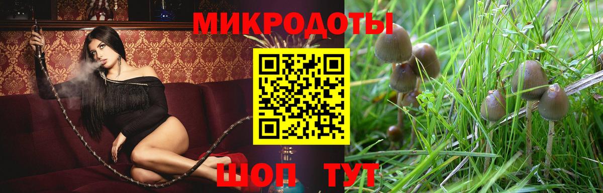 Псилоцибиновые грибы Magic Shrooms  Галлюциногенные грибы мухоморы  Вход с VPN  Касимов 